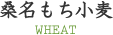 桑名もち小麦