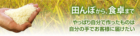 田んぼから食卓まで
