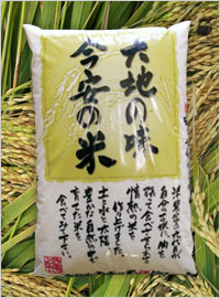 今安コシヒカリ