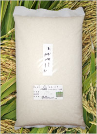 ミルキークイーン